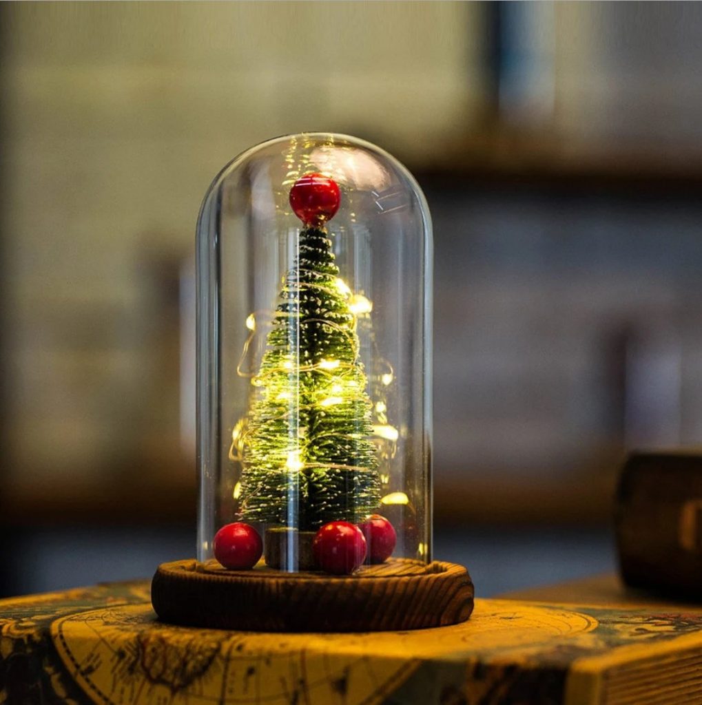 Mini Christmas Tree and Glass Dome