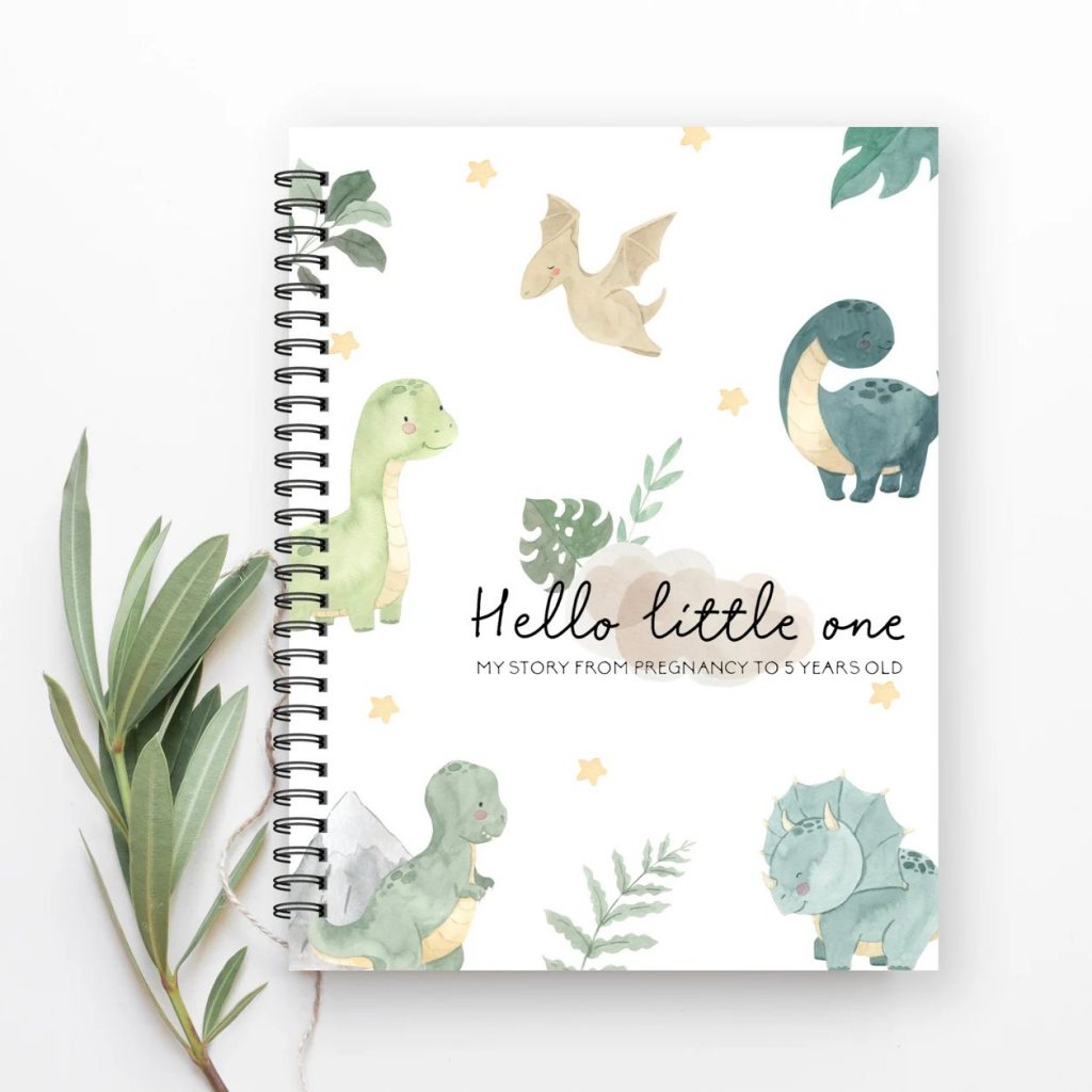 Dinosaur Memory Book