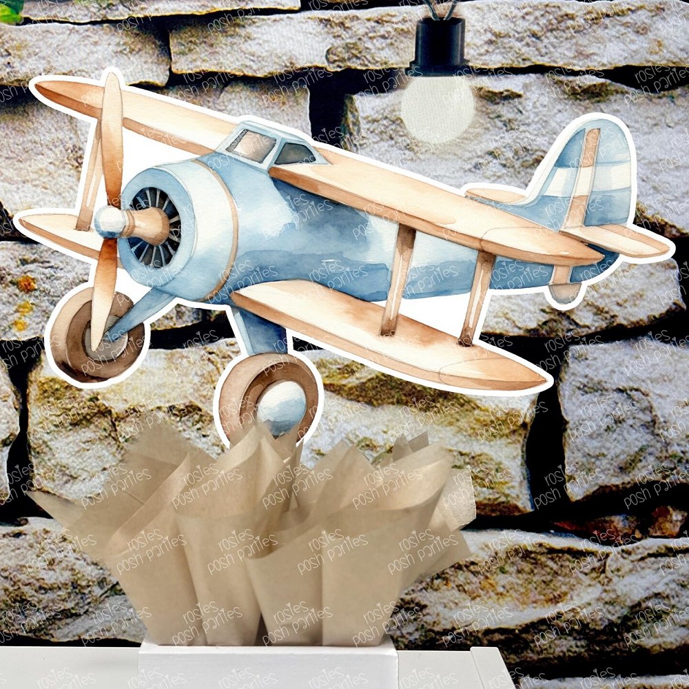 vintage airplane centerpiece