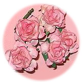 Bouquet de Roses Pûle