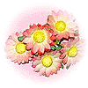 Bouquet of Daisies
